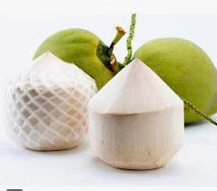 Coastline Tropical diamond peeled coconut pair