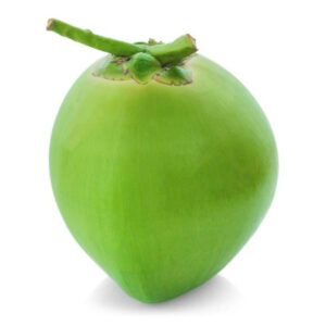 Coastline Tropical green whole coconut