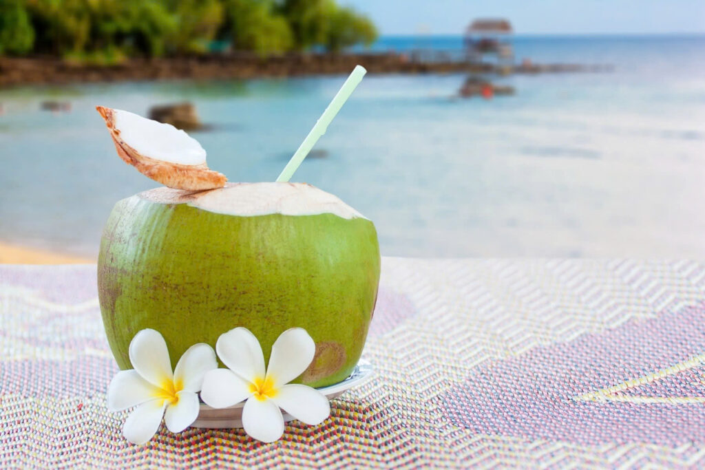 Coastline Tropical partial top cut coconut hero
