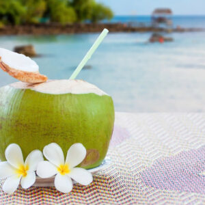 Coastline Tropical partial top cut coconut hero