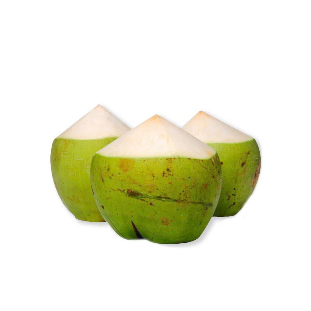 Coastline Tropical partially top cut coconut